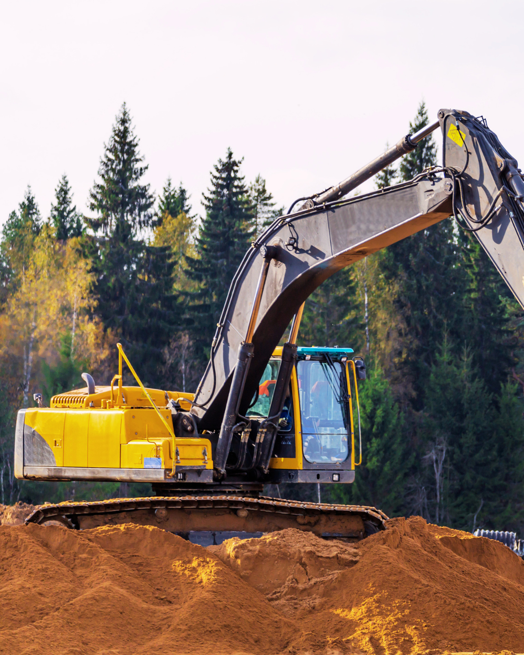Forestry